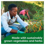 Knorr 4 Organic Chicken Stock Pot   104g