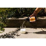 LA Brewery Ginger Kombucha 330ml