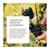 Lallier Champagne Grand Rose 75cl