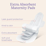Lansinoh Extra Absorbent Maternity Pads   10 per pack