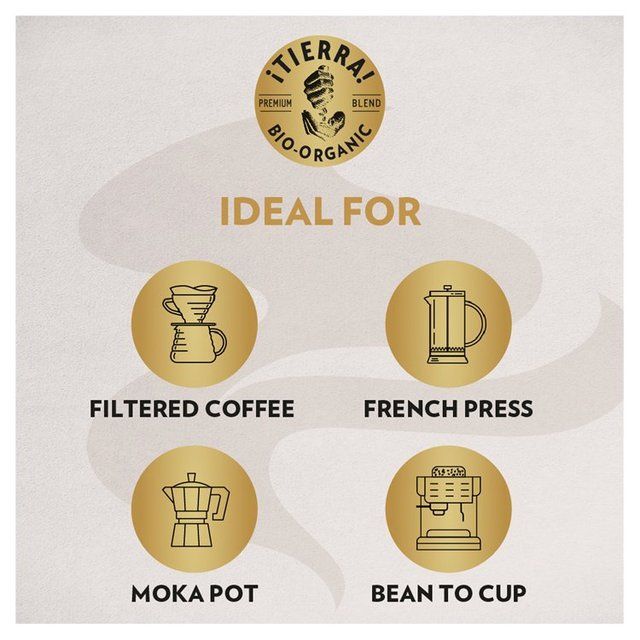 Lavazza Tierra Organic Coffee Beans 500g