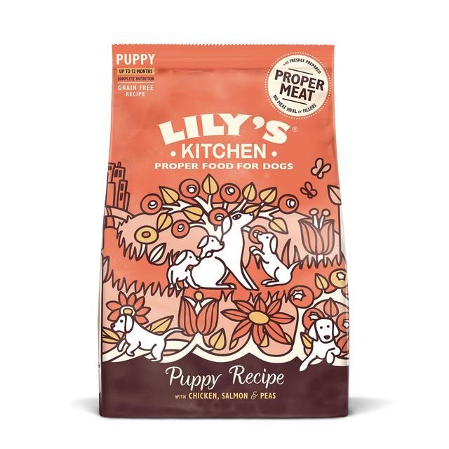Lily's Kitchen Dog Chicken & Salmon Puppy Recipe Dry Food 1kg