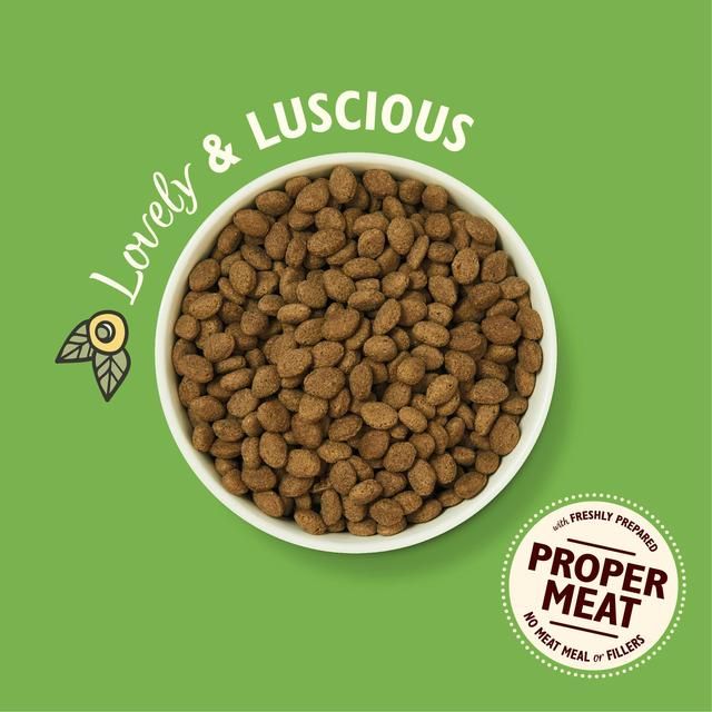 Lily's Kitchen Dog Lamb Shepherd's Pie Adult Dry Food 1kg