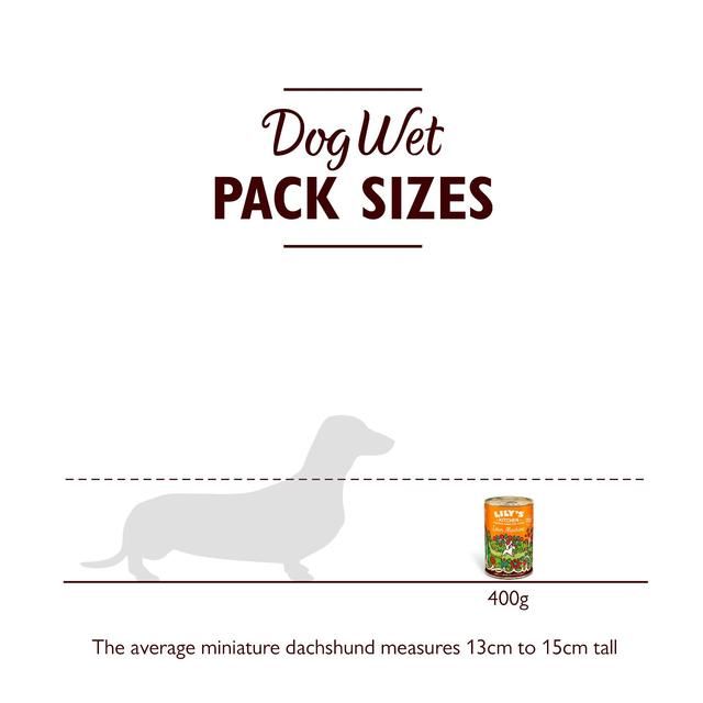 Lily's Kitchen Lean Machine Tin for Dogs 400g