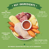 Lily's Kitchen Puppy Recipe with Chicken Wet Dog Food 150g