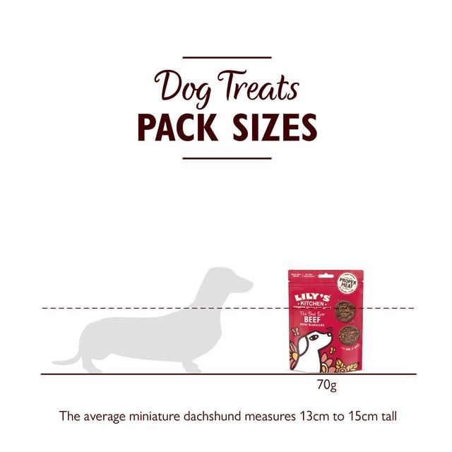 Lily's Kitchen The Best Ever Beef Mini Burgers for Dogs 70g