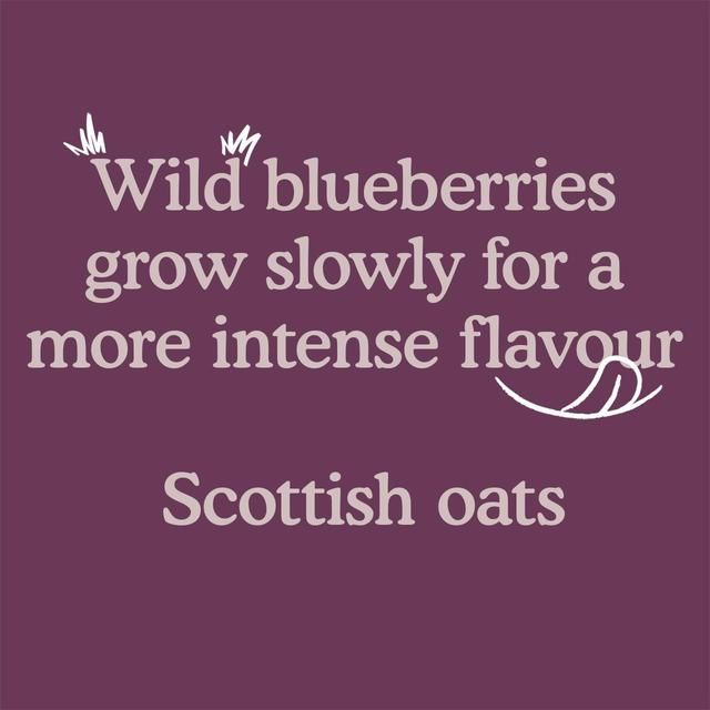 Little Freddie Strawberries Blueberries & Oats Organic Pouch 6 mths+   100g