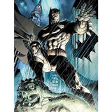 DC Comics Batman Prowl Canvas Print