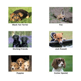 Kevin Milner Black And Tan Terrier Countryside Card