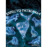 Harry Potter Expecto Patronum Canvas Print (80cm x 60cm)