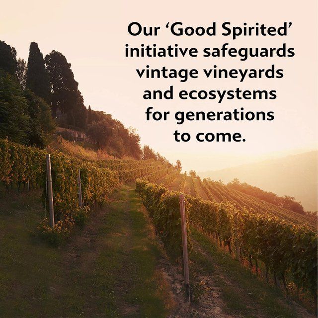 Martini Floreale Non Alcoholic Vermouth Aperitivo 75cl