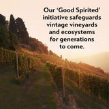 Martini Floreale Non Alcoholic Vermouth Aperitivo 75cl