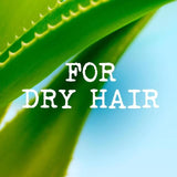 Maui Moisture Nourish & Moisture+ Coconut Milk Conditioner 385ml