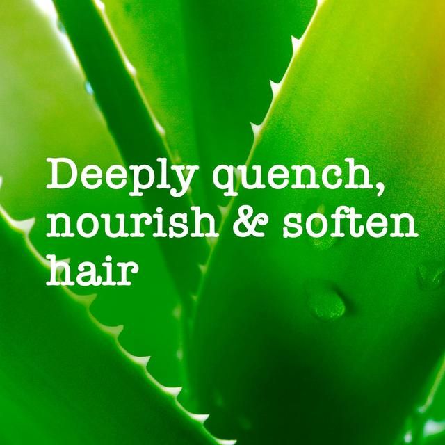 Maui Moisture Revive & Hydrate+ Shea Butter Shampoo 385ml