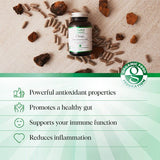 Mindful Extracts Organic Chaga Mushroom 60 Vegan Capsules