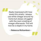 Miniml White Vinegar - Sorrento Lemon 5L