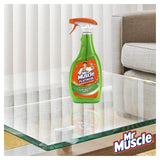 Mr Muscle Platinum Window & Glass Spray 750ml