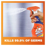 Mr Muscle Stainless Steel & Hob Cleaner 530ml