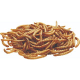 National Trust CJ Wildlife Dried Mealworms 250g