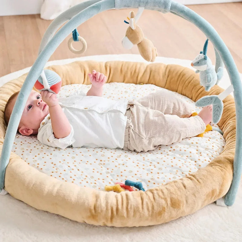 Nattou stuffed playmat with arches Felix and Leo (British brand)