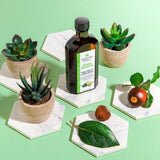 Nature Spell Avocado Oil for Hair & Skin