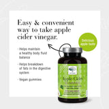 New Nordic Apple Cider 60 Gummies