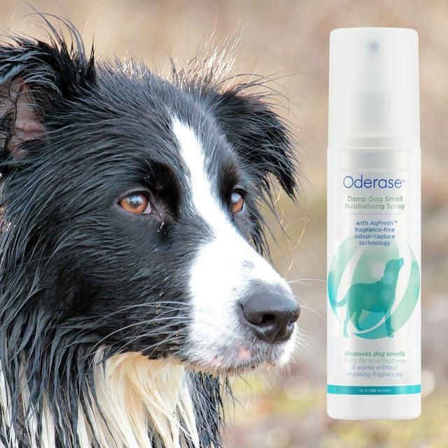 Oderase Damp Dog Smell Neutralising Spray 200ml