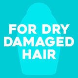 OGX Renewing+ Argan Oil of Morocco Shampoo 385ml