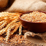 OGX Thick & Full+ Biotin & Collagen pH Balanced Conditioner 385ml