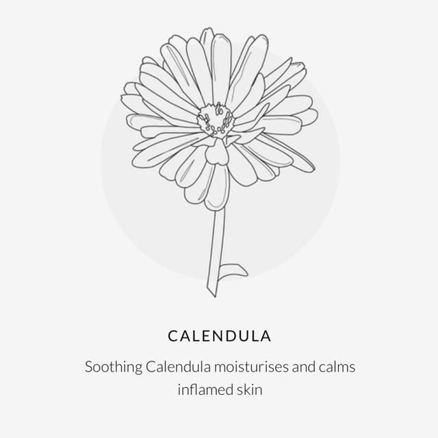 Organic Babies Newborn Collection Gift Set