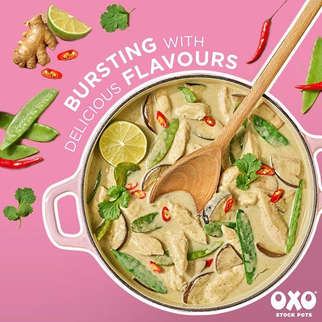 Oxo Aromatic Asian Stock Pots 4 x 20g