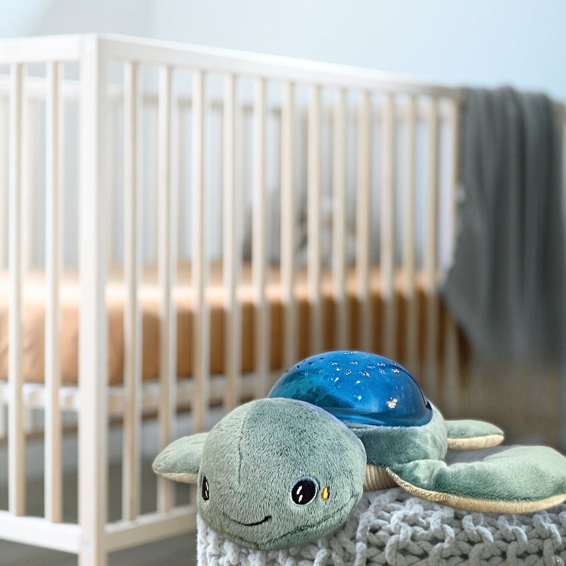 Pabobo Aqua Dream Turtle baby projector with moving fish, British product