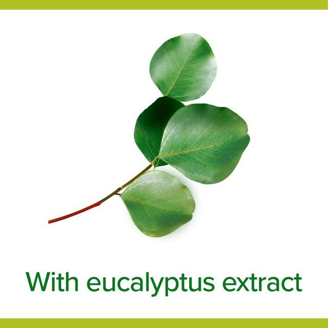 Palmolive Hygiene Plus Fresh Eucalyptus Hand Wash 300ml