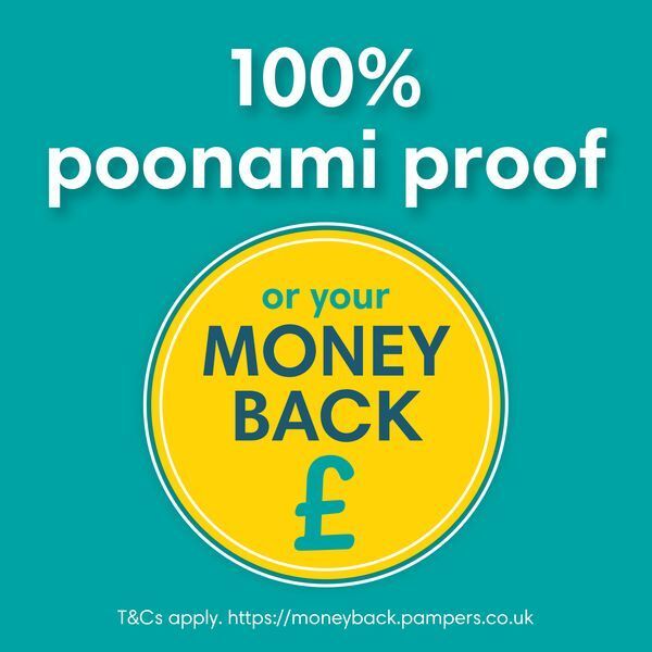 Pampers Baby-Dry Size 6 Nappies Carry Pack x19