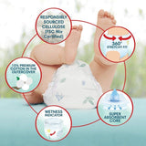 Pampers Harmonie Nappies Pants Size 4 Essential Pack 22 per pack