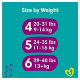 Pampers Premium Protection Nappies Size 6 (13kg+) Jumbo+ Pack   48 per pack