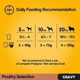 Pedigree Adult Wet Dog Food Pouches Mixed Varieties in Gravy 12 x 100g