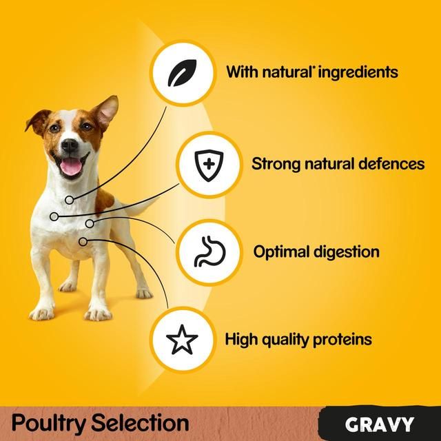 Pedigree Adult Wet Dog Food Pouches Mixed Varieties in Gravy 12 x 100g