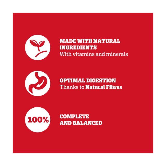 Pedigree Adult Wet Dog Food Tins Mixed in Jelly 6 x 385g