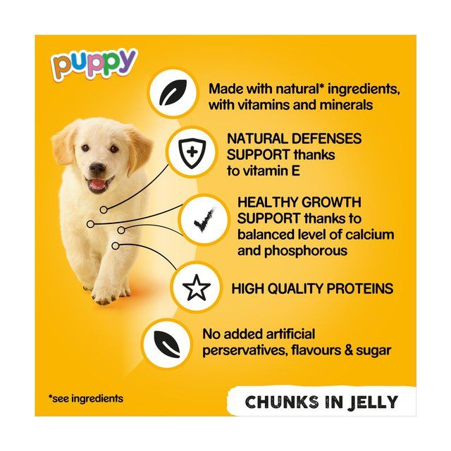 Pedigree Puppy Wet Dog Food Tins Mixed in Jelly 6 x 400g