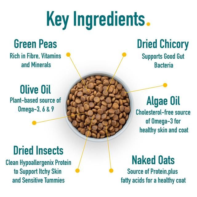 Percuro Insect Protein Adult Medium & Large Breeds Dry Dog Food 2kg