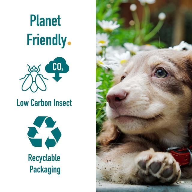 Percuro Insect Protein Adult Medium & Large Breeds Dry Dog Food 2kg