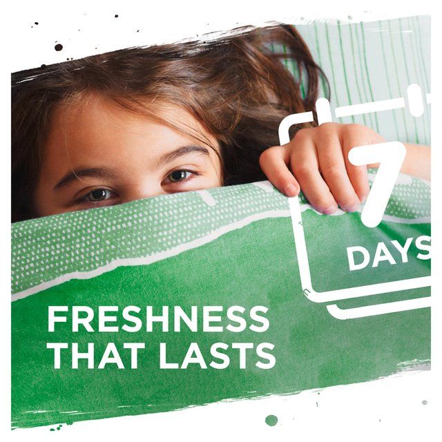 Persil Laundry Washing Liquid Detergent Colour 24 Wash 648ml