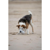 Petface Outdoor Paws Mighty Rugby Ball Dog Toy