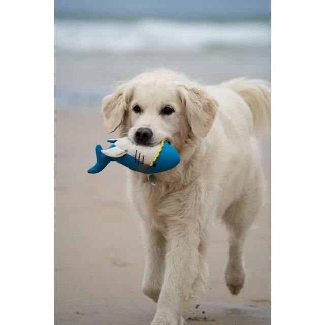 Petface Planet Ocean Cycle Salina Shark Plush Dog Toy