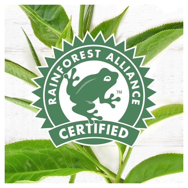 PG Tips Original Biodegradable Tea Bags 240 per pack