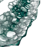 DB Ceramic teal flow serving platter large, imported from the UK