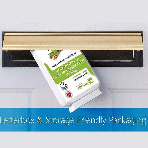 Prowise KSM-66 Ashwagandha 500mg 90 Capsule