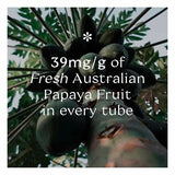 Pure Paw Paw Multiuse Ointment Original 25g