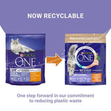 Purina One Coat & Hairball Chicken Dry Cat Food    750g